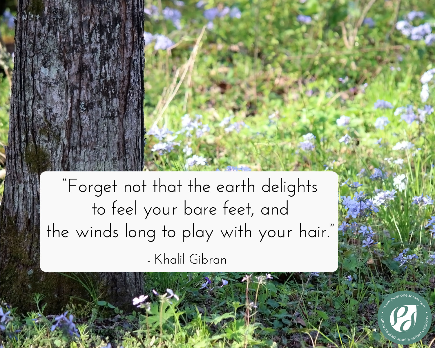 Kahlil Gibran quote about earth