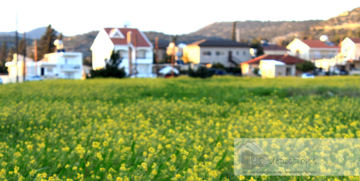 Nature Photography Tip # 6