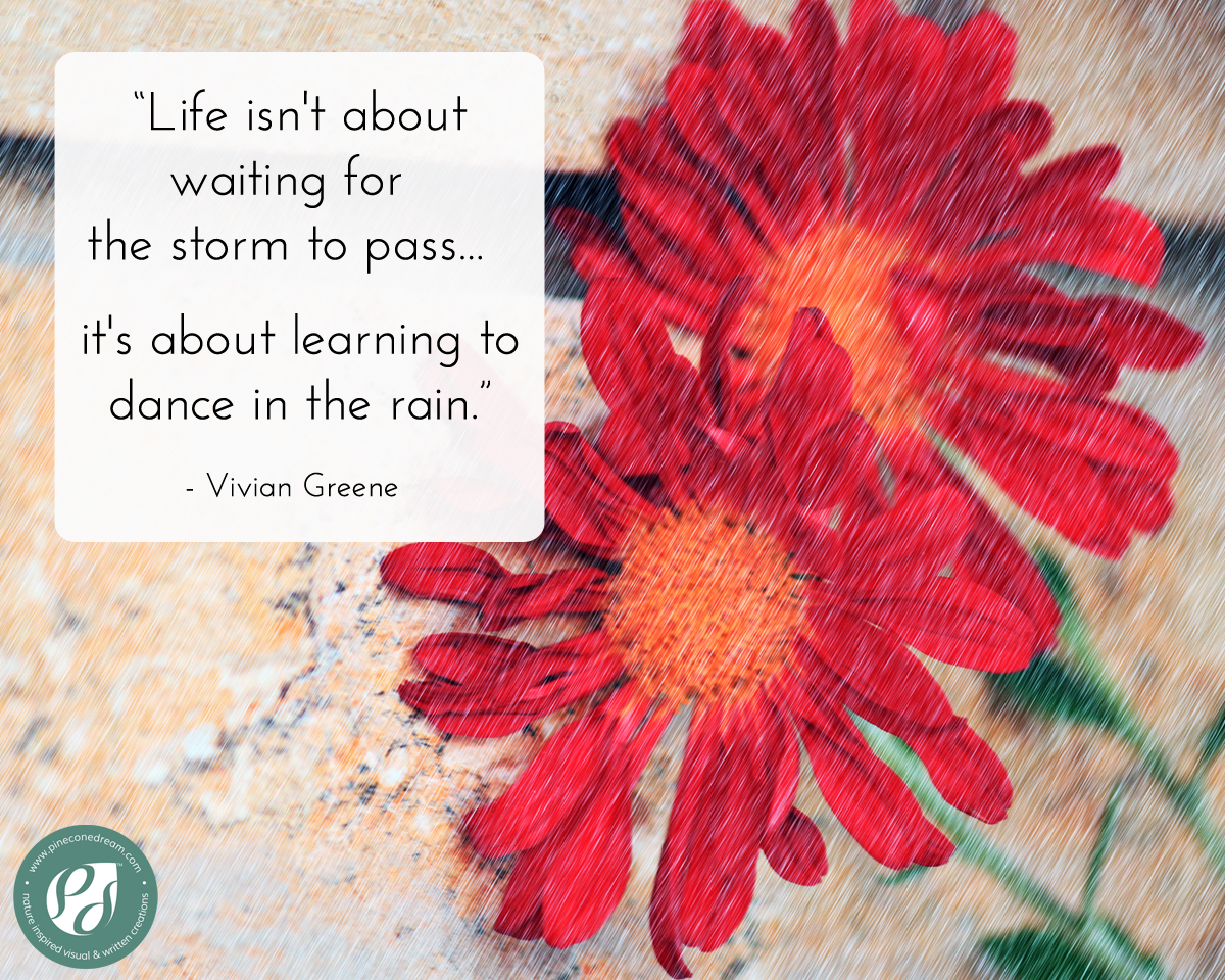 Vivian greene quote