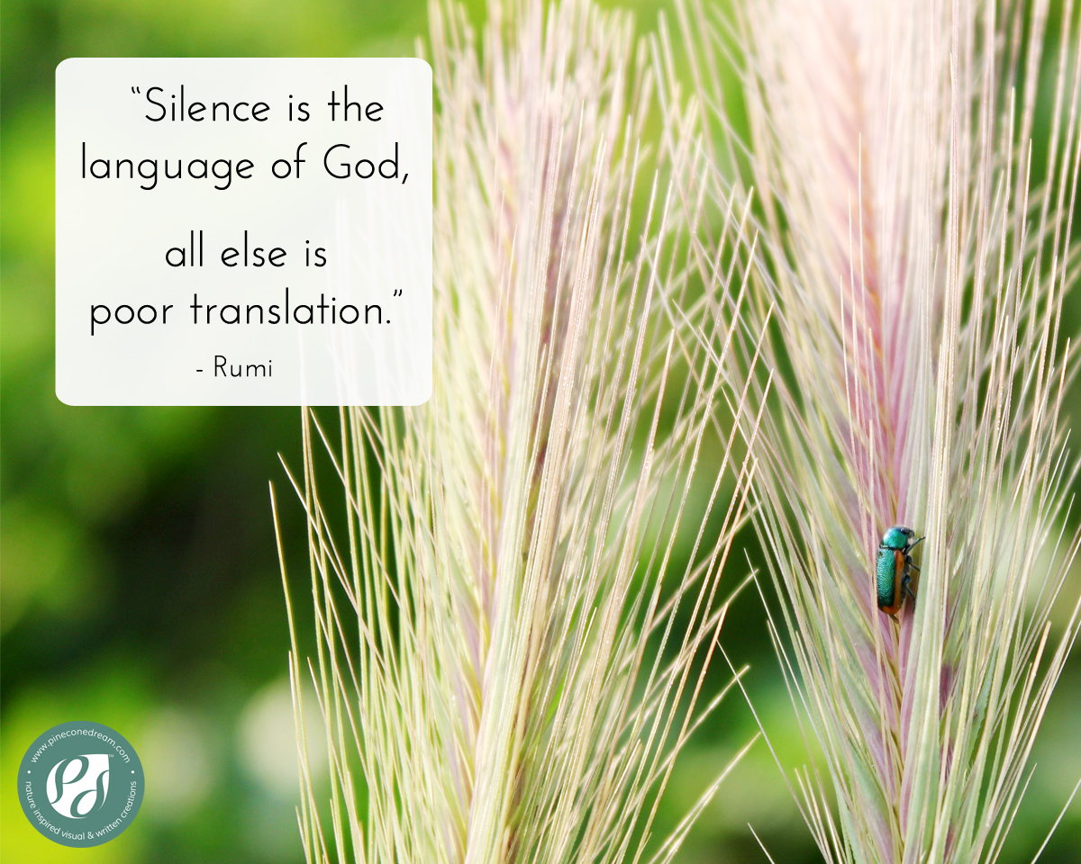Rumi Quote on Silence