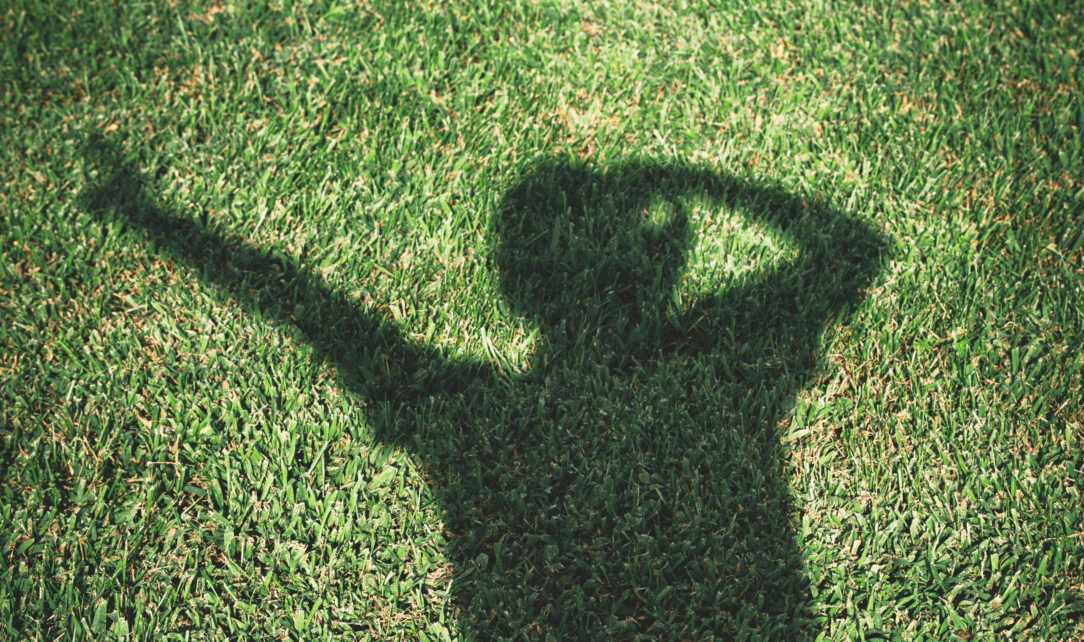 Poem about one's shadow