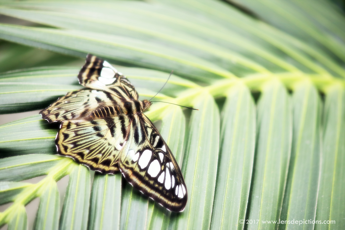 Pieces of a Grand Puzzle Called Nature