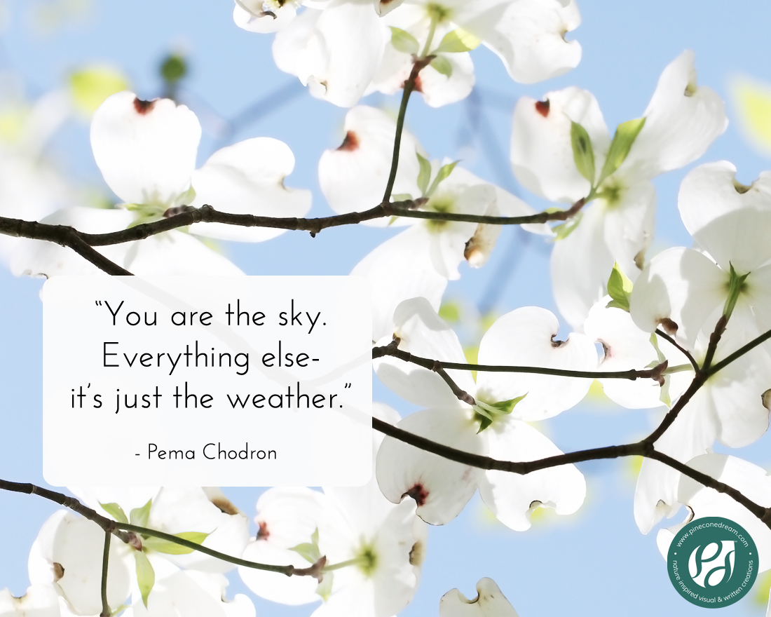 Pema Chodron quotes