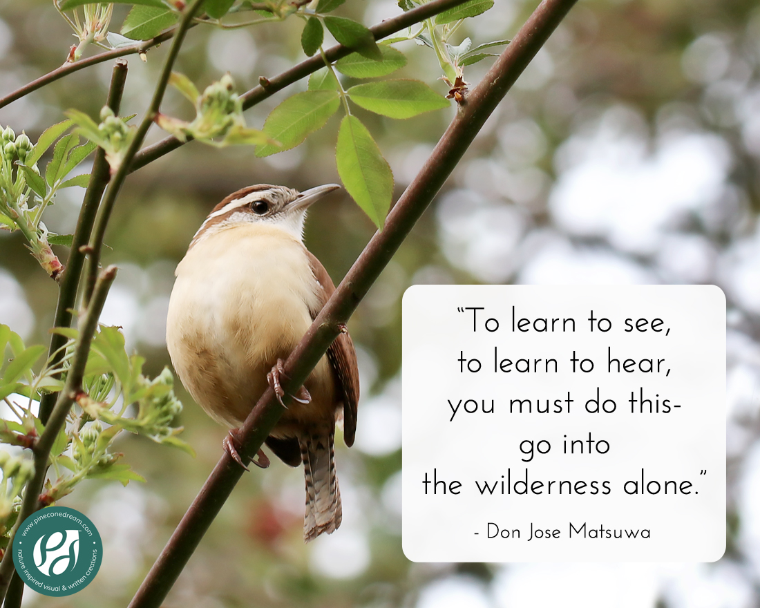 Done Jose Matsuwa quote