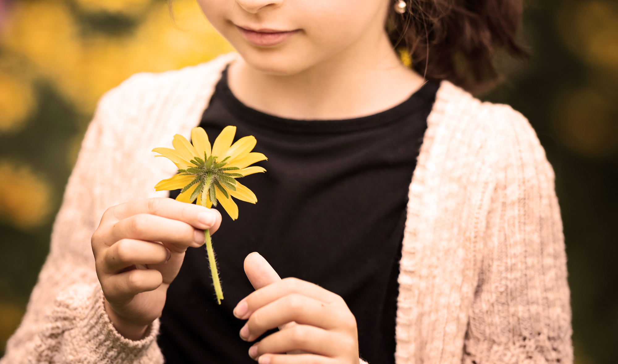 A Childhood Yard Where Marigolds Lived & Laughed + A Poem by Emily Dickinson, Bloom