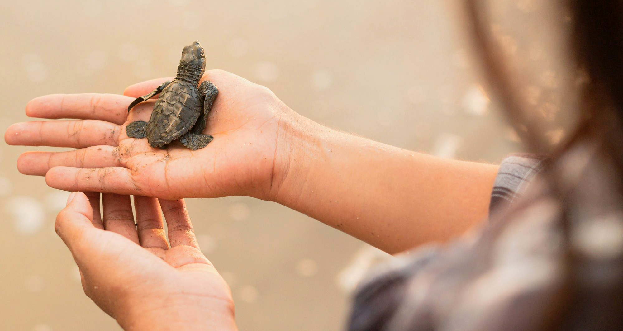 Visiting Patients of Jekyll Island’s Sea Turtle Center & Why We Need to Be Attentive to the LIFE in Front of Us