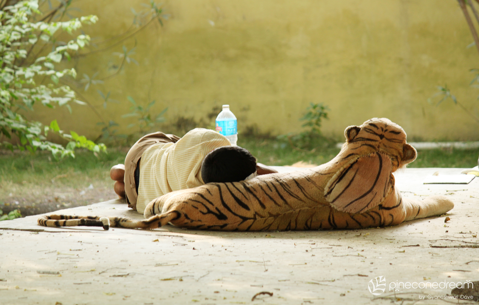 World Tiger Day & a Poem – Stuffed