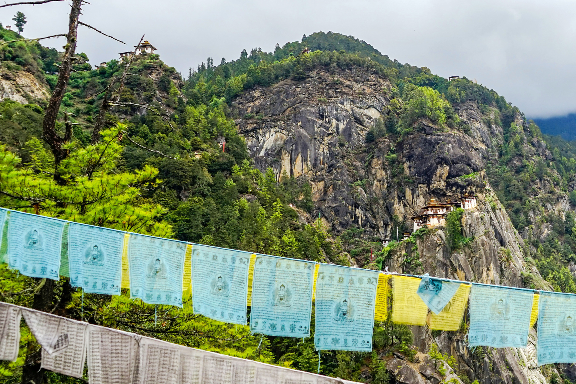 Environmental Wisdom of a Tiny Buddhist Kingdom and Its Happy Blues