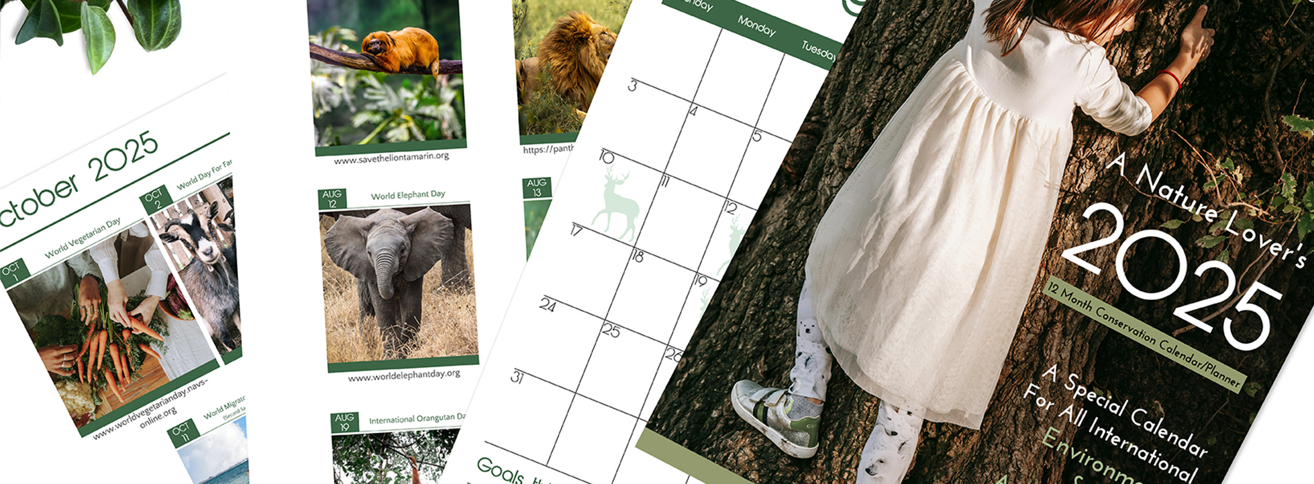 A Nature Lover’s Year 2025 Conservation Calendar With All Wildlife & Environmental Awareness Days Celebrated Internationally